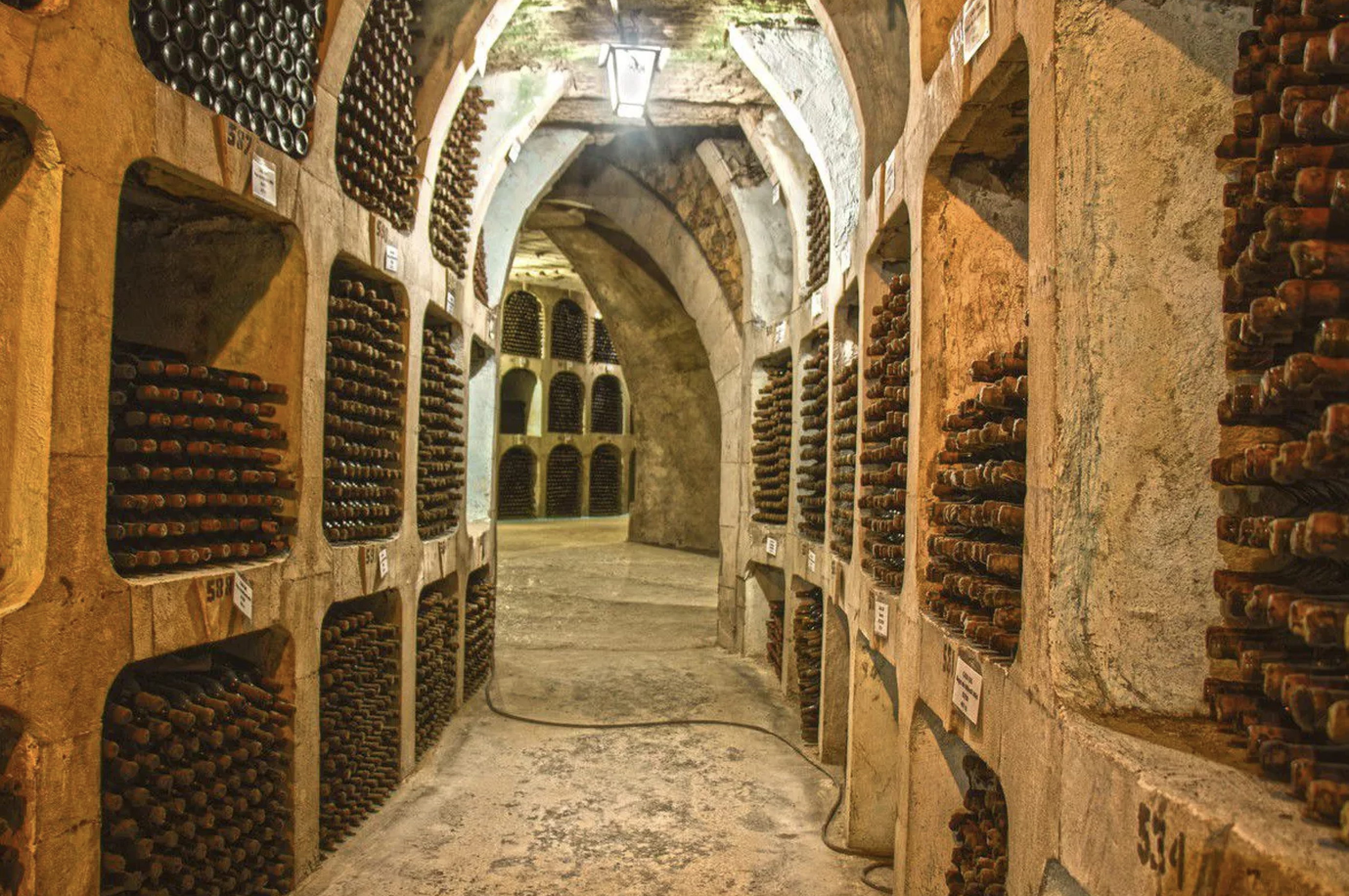 Capriana And Condrita Monasteries Milestii Mici Winery Private Tour 